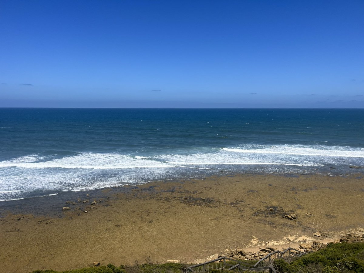 simon forsyth tweet media