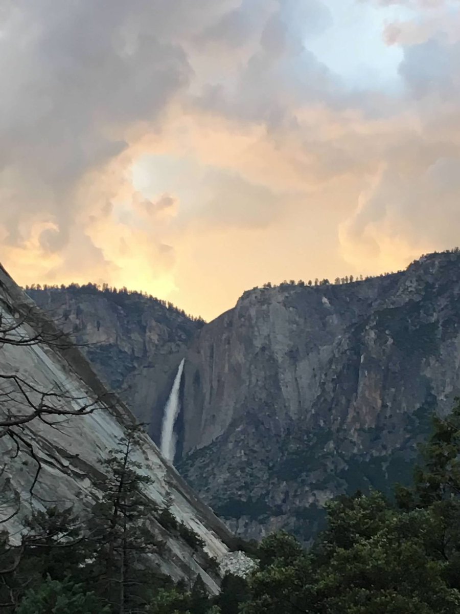 ɹǝdıԀ ˙ɹW tweet media