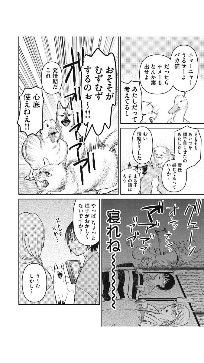 生類憐れみの令×YouTuber (3/4)