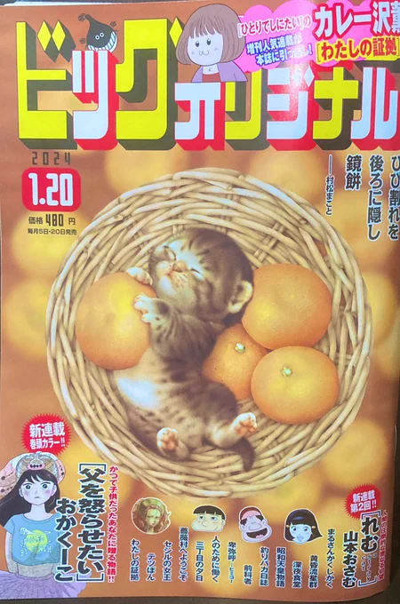 本日発売のビッグコミックオリジナルで「父を怒らせたい」という連載が始まりました。巻頭カラーです🌟よろしくお願いいたします〜! 