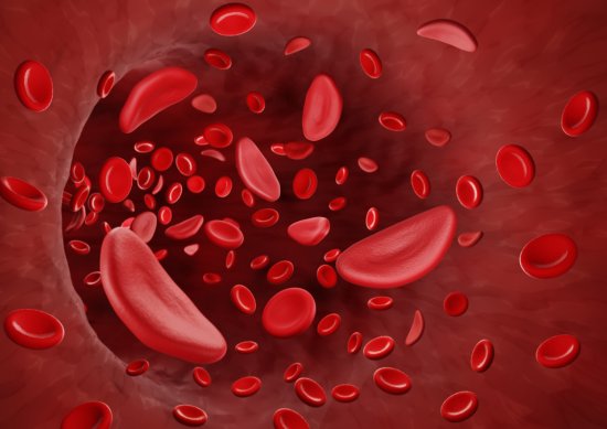 UEOSickleCell's tweet photo. Do YOU know what #SickleCellDisease is? Promote SCD education, build community, and spread empathy for #SickleCellAwareness! Break the sickle cycle by creating a supportive and informed community. Learn more at @NebraskaMed: https://t.co/MAqbgamg67 #SickleCellMidwest #SupportSCD https://t.co/R8kWw3S9V3