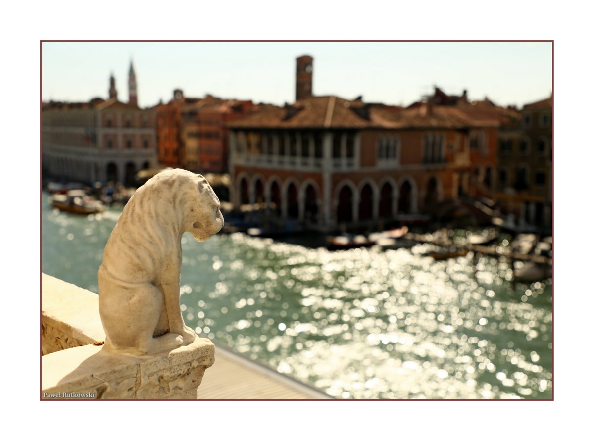 Strażnik / Sentinel

#OldArchitectureforThursday #Venice #Venezia #MojaWenecja #CanalGrande #memory #autumn #ThePhotoHour