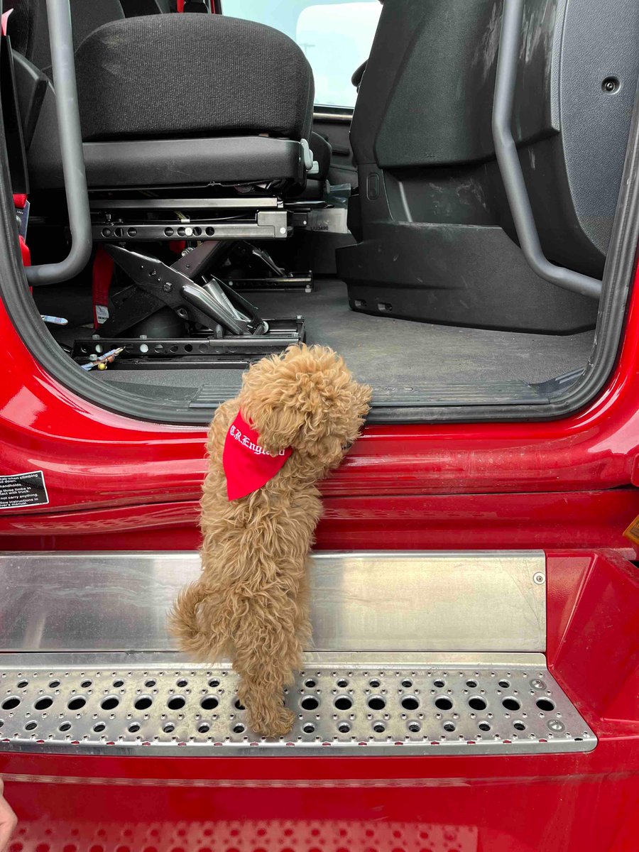 CREngland's tweet photo. There’s nothing wrong with a little dog day in the office! 

One of the newest members of the C.R. England Team, Charlie, wants to remind you to be Safe &amp; On-Time Every Time while you #DeliverExcellence! 🐶

#CREngland #DriveCRE #Trucking #WeAreFamily https://t.co/ySeQ2C02OV