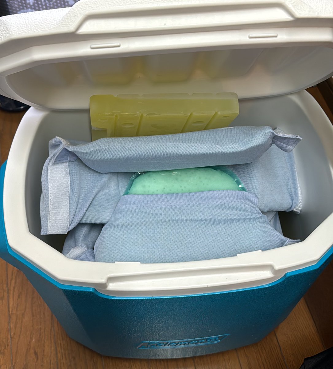 nemui8chan's tweet photo. 今年初の抗がん剤治療日。愛帽準備して行ってきます。治療も3ヶ月近くなってきたけど頭頂が流石に脱毛で薄ら禿げてきてる。これでも脱毛少ないって分かってるけどショックはある。
先週は白血球少なくて出来なかったからできるといいな。いつもの先生いない日だけど。 https://t.co/fKtT2nIuaA
