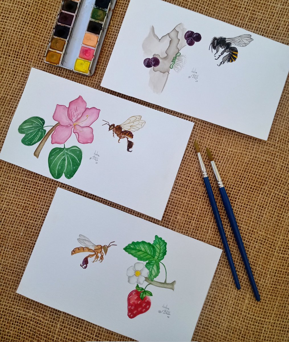 A abelhinhas em aquarela para compor  o livro estão ficando simplesmente lindas 🥰😍