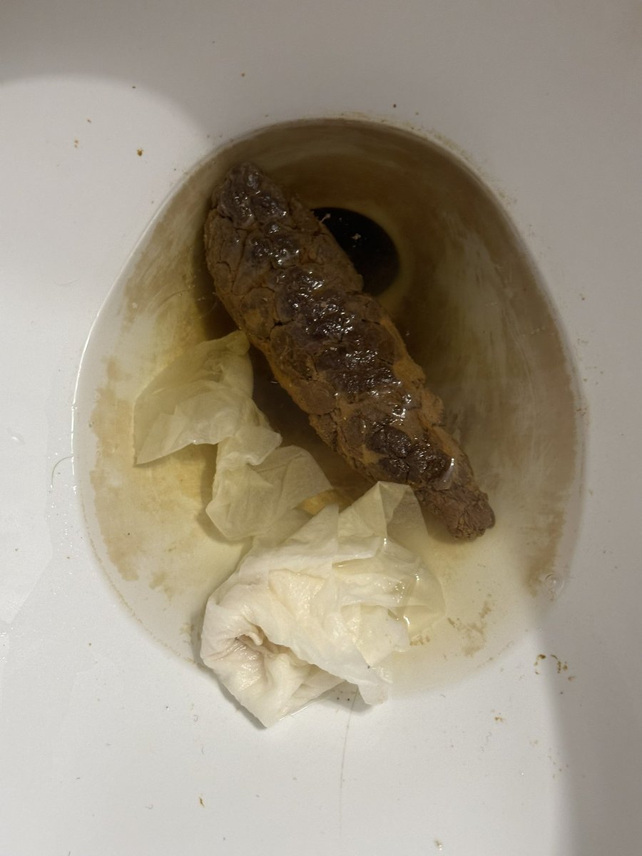 COMP_log's tweet photo. FAT LOG https://t.co/65SZk5iCLE