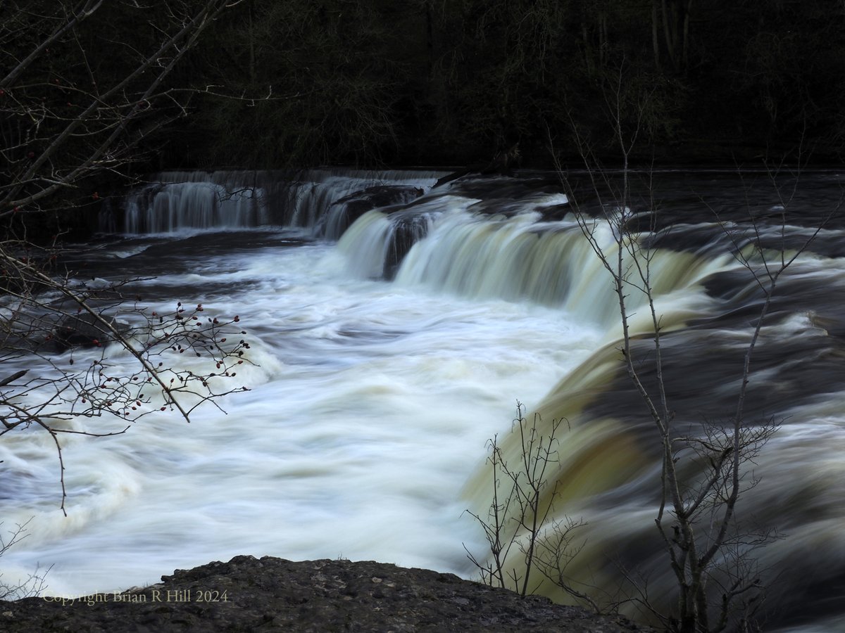 Yorkshire_Image's tweet photo. Aysgarth Upper Falls @ThePhotoHour @rtArtBoost @FotoRshot #Aysgarth #Wensleydale #Waterfall #YorkshireDales #photography #landscapephotography https://t.co/RXErsAtfw5