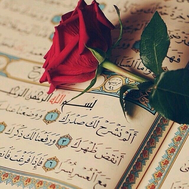<a href="/dar___0/">وُڒٍير آلُحـشُـُد🇮🇶</a> جزاك الله خير🙏🏻