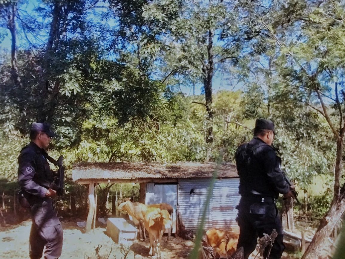PNCSV's tweet photo. Patrullamos las zonas ganaderas en Morazán, cuidamos los bienes que con mucho esfuerzo han obtenido las familias salvadoreñas.

#GuerraContraPandillas https://t.co/BChaxDl7DI