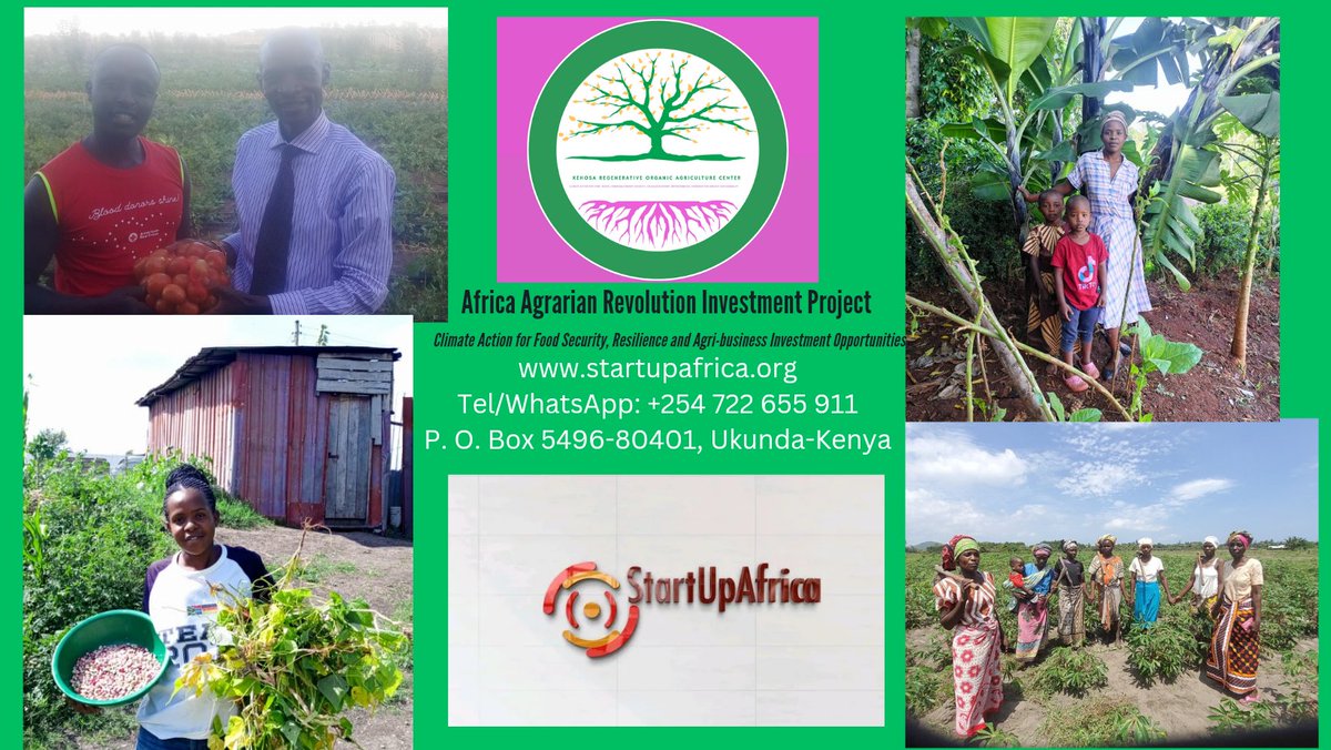 Kehosa International tweet media