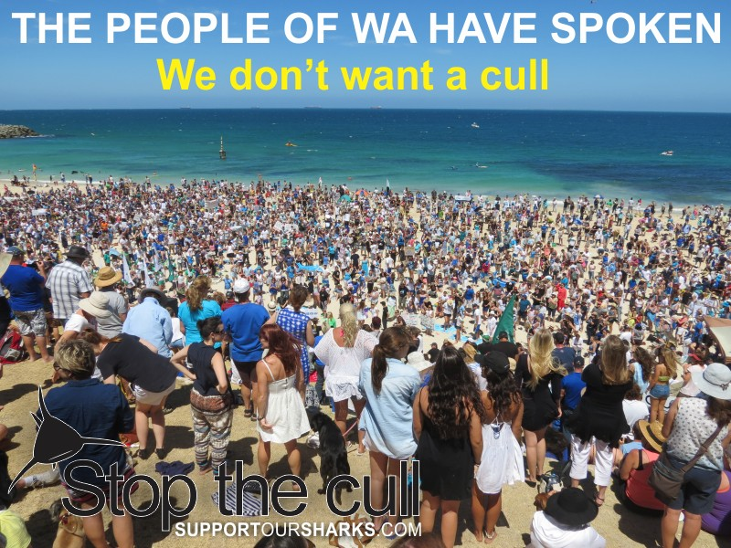 SharkSafetyWA's tweet photo. 10 year anniversary 4 Jan 2014
We came together to #stop the #Barnett Government from #senseless #killing of #sharks by #drumlines https://t.co/4ka1xma88R