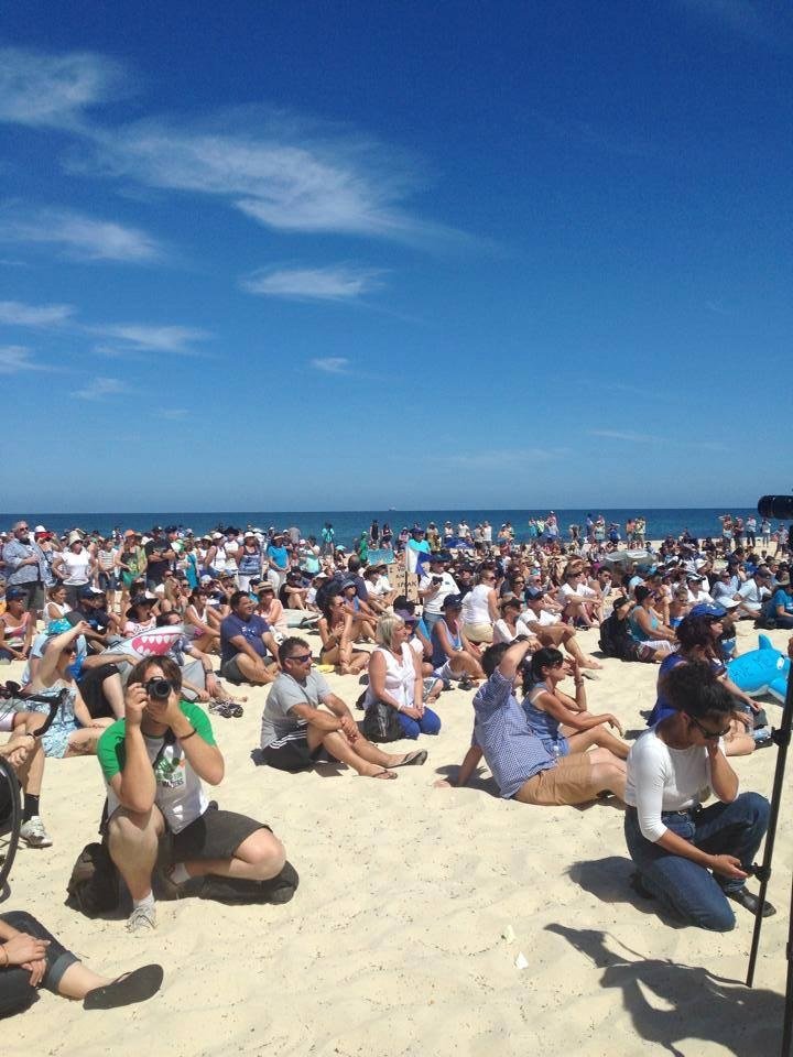 SharkSafetyWA's tweet photo. 10 year anniversary 4 Jan 2014
We came together to #stop the #Barnett Government from #senseless #killing of #sharks by #drumlines https://t.co/4ka1xma88R