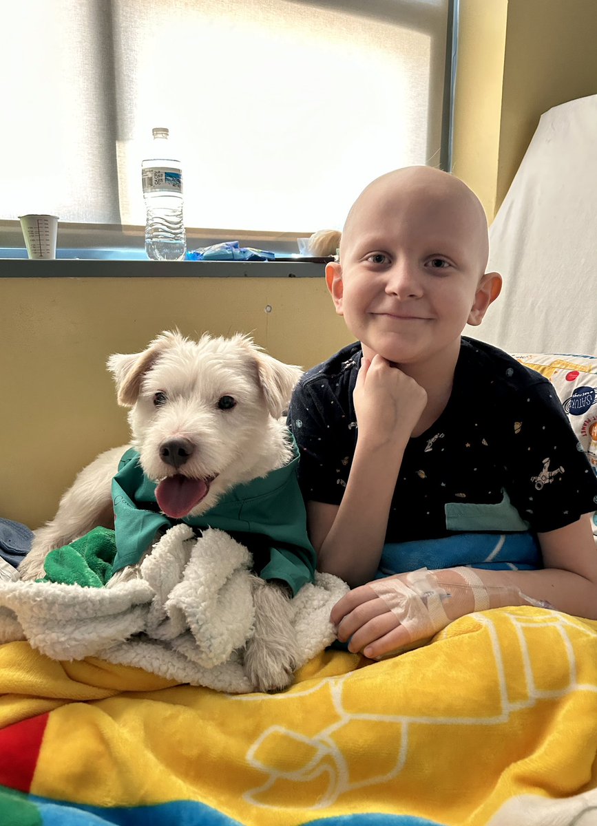 @Hmgambi @PatMcAfeeShow @aqshipley Hello Mr. Pat!
This is my friend Zachery, he’s battling cancer. 
I visit him and his mother @Hmgambi on my rounds at Summerlin Hospital. 
Zachery is a great kid! 
$TeamZachery 
Thank you!
~ Deke🐾