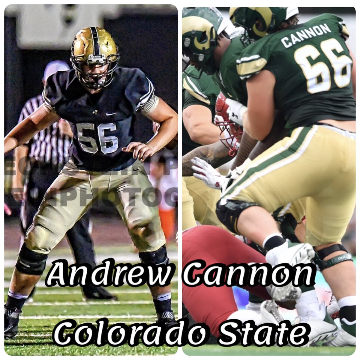 Congratulations to our former Hornets who completed a successful 2023 season which includes Caleb Perez <a href="/CalebPerez_14/">Caleb Perez</a> getting accepted into Med school!! <a href="/juicemanpower/">Jüiçê</a> <a href="/dylanhkling/">Dylan Kling</a> <a href="/drewcannon64/">Andrew Cannon</a>🐝🏈✝️ <a href="/HornetFB_1MOORE/">BMC Football</a> <a href="/BMC_Alumni/">Bishop Moore Alumni</a>