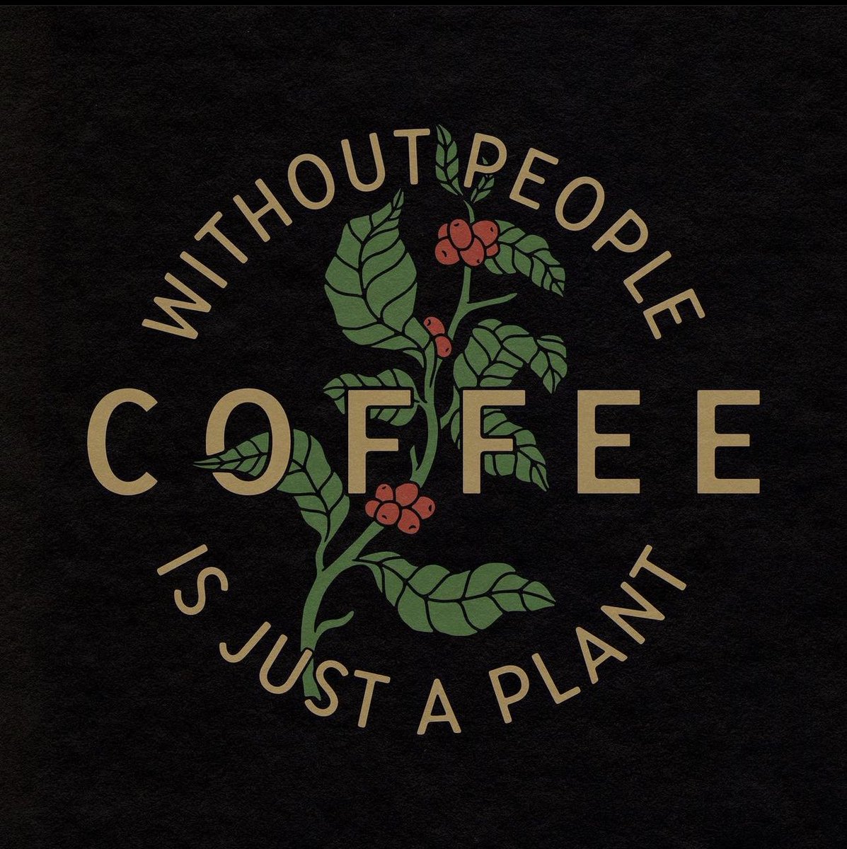 Woods Coffee tweet media