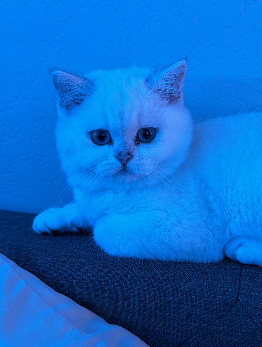 What is Yuki thinking about