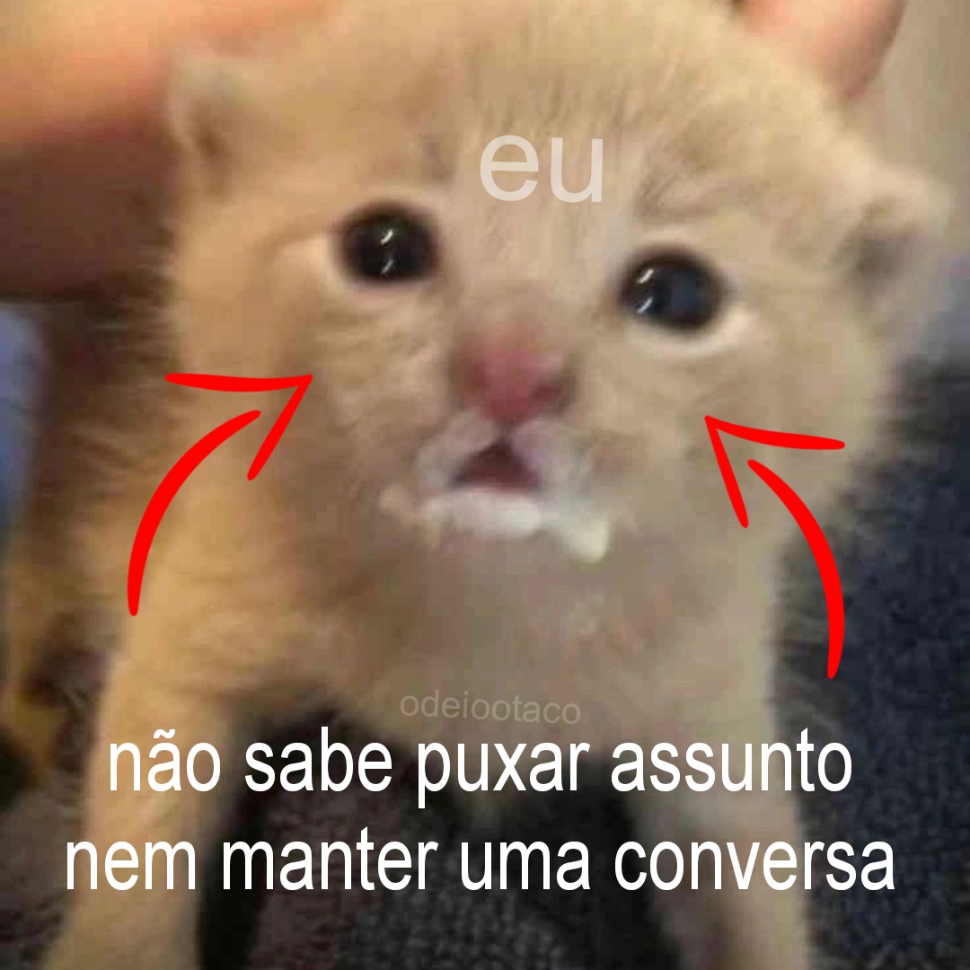 perfil dedicado a gatinhos e peitos (@odeiootaco) on Twitter photo 