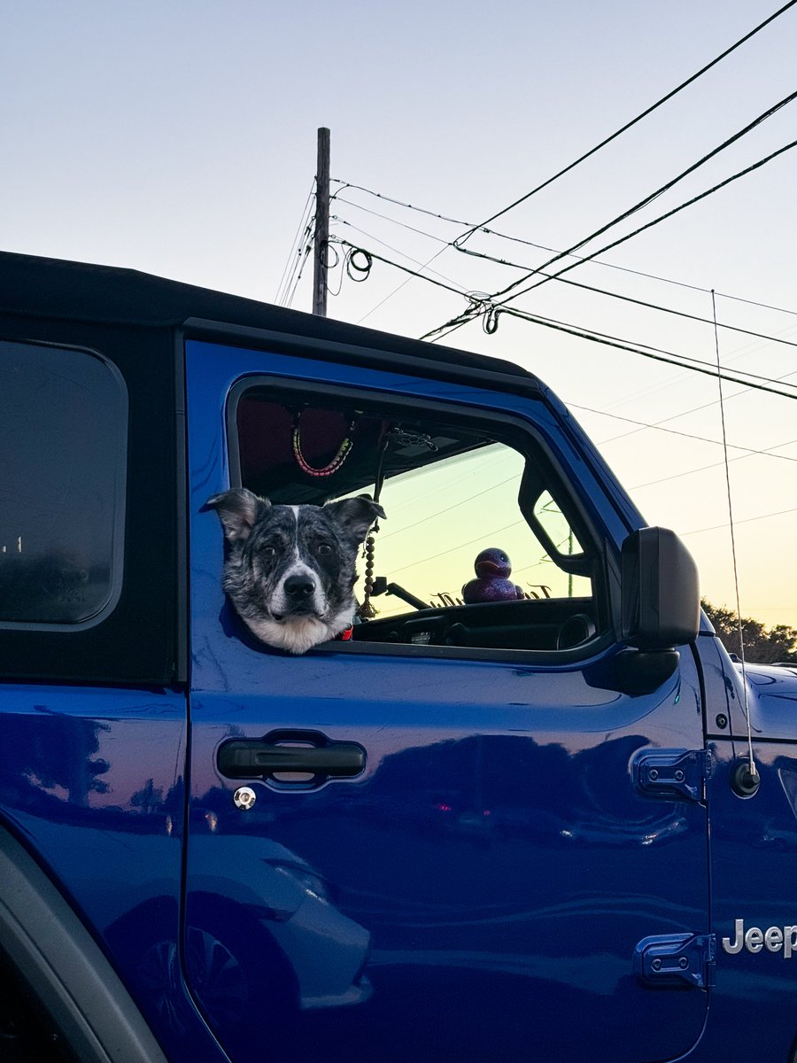 𝐂𝐫𝐚𝐢𝐠 𝐇𝐞𝐰𝐞𝐭𝐭 tweet media