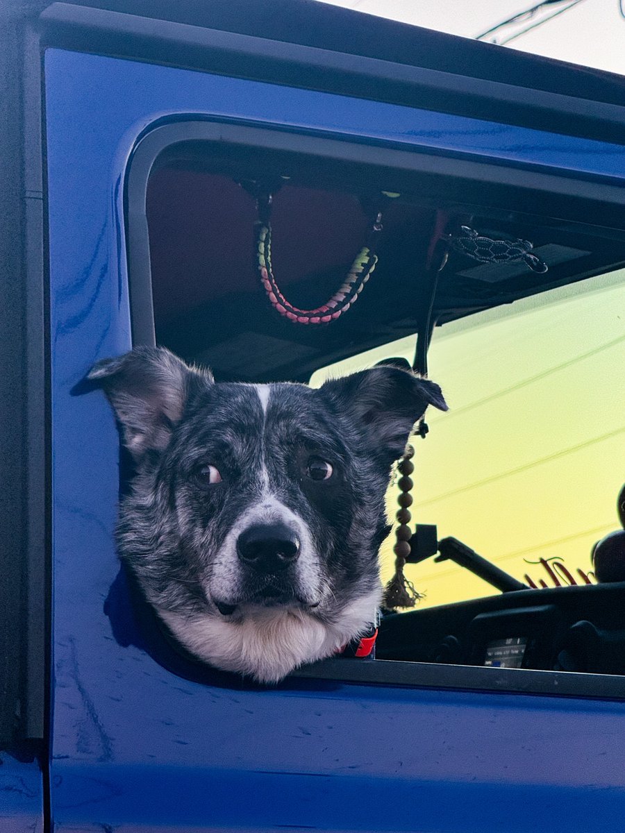 𝐂𝐫𝐚𝐢𝐠 𝐇𝐞𝐰𝐞𝐭𝐭 tweet media