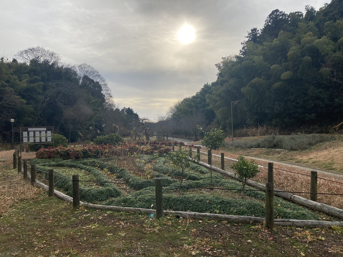 Phil ಠ_ಠ tweet media