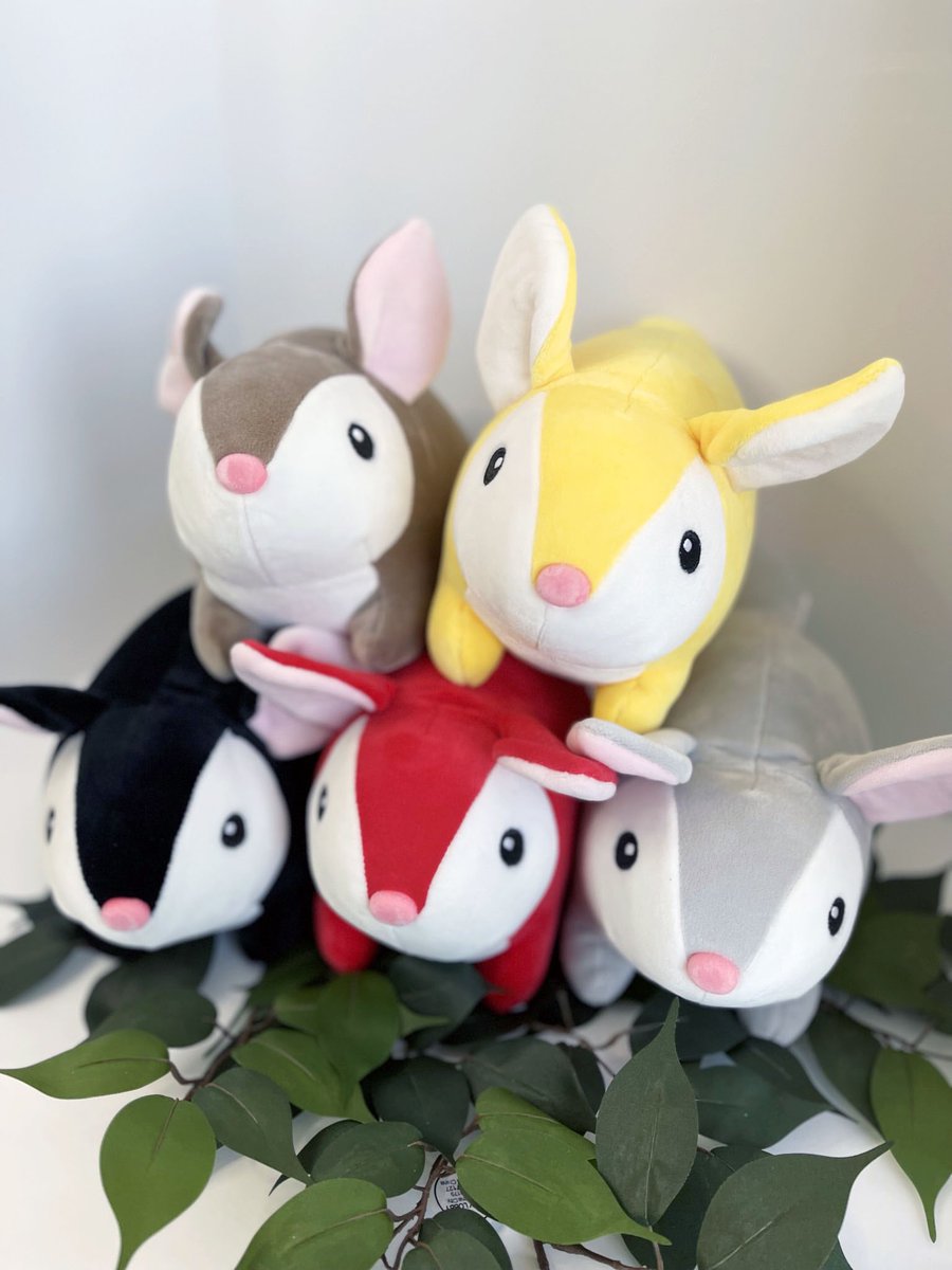 Rice Bunny🍚🐰 tweet media