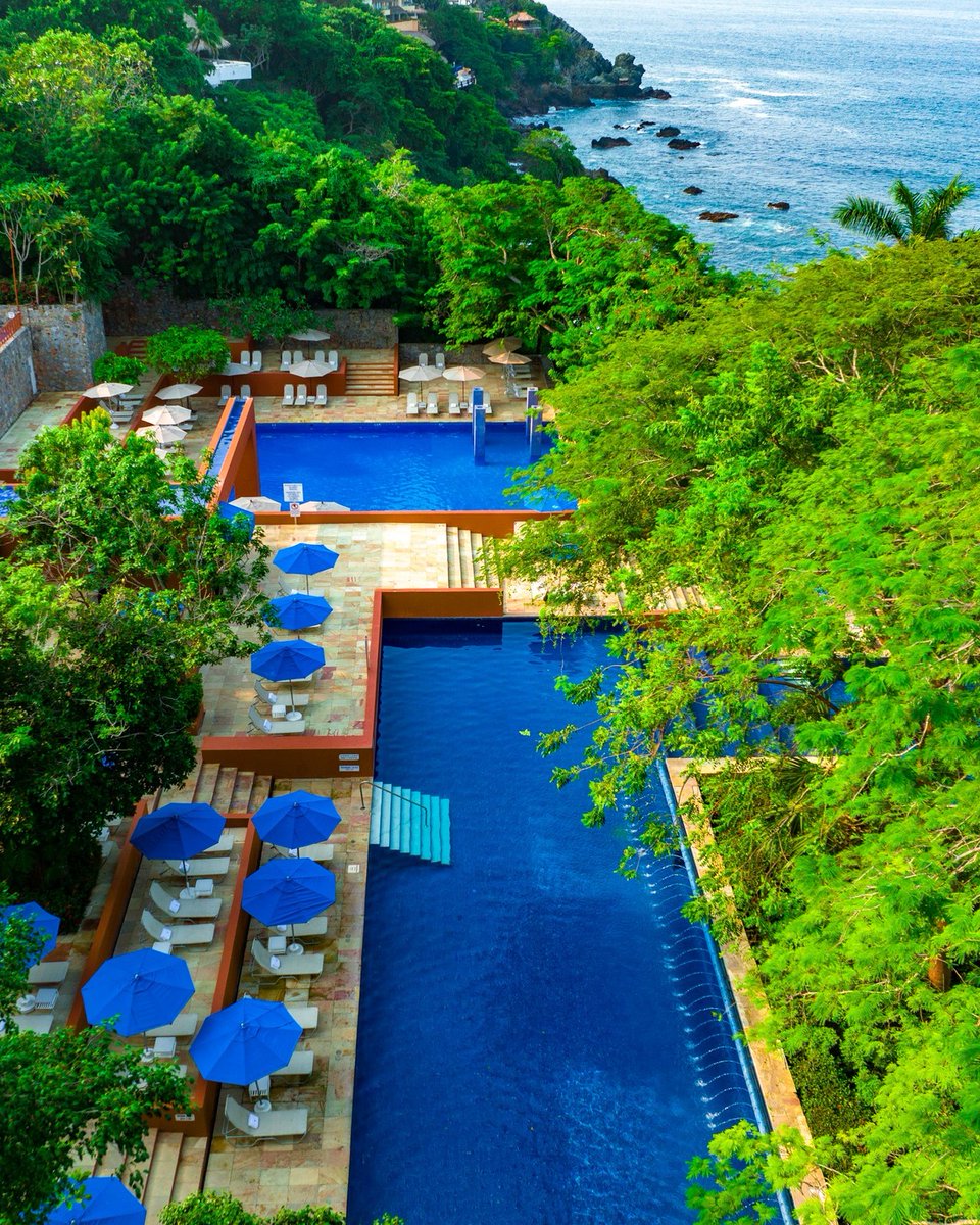 Despierta en el paraíso y conecta con la serenidad que te brinda #IxtapaZihuatanejo

📸 <a href="/BrisasIxtapa/">Las Brisas Ixtapa</a>

#HotelesIxtapaZihuatanejo #thisIZit #VisitIZ #Zihuatanejo #PuebloMágico #BeachTime #HappinessEverywhere #OceanAdventures #Serenity #HappyVibes #Relax  #VisitMéxico