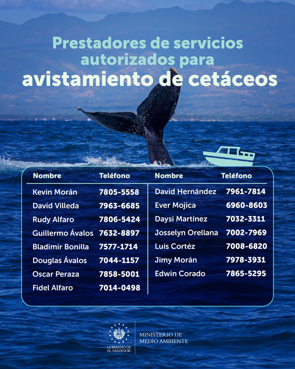 MedioAmbienteSV's tweet photo. ¡Ya inició la temporada de avistamiento de cetáceos! 🤩🐳  

Con el fin de asegurar un turismo marino sostenible y responsable en el Área Natural Protegida y Sitio Ramsar, Complejo Los Cóbanos, hemos capacitado a un grupo de guías locales para que puedas disfrutar de este recorrido. ✅

Aquí te compartimos el contacto de guías turístico locales autorizados: ⬇️

¡Suma momentos inolvidables y comparte tu experiencia dándonos tag! 📸