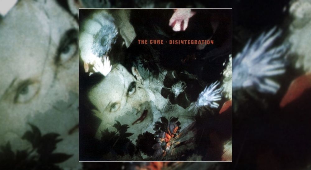 ALBUMISM tweet media