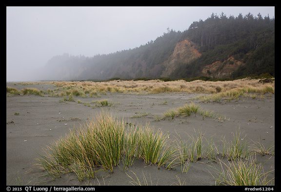 treasured_lands's tweet photo. You'll find there a very wild coast.

Read more 👉 https://t.co/8a5Ftfanim https://t.co/psn5gxbfNC