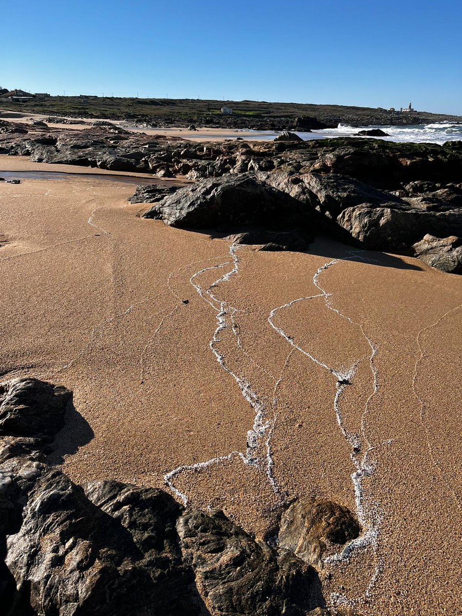 Rosana Pérez Fdez. tweet media