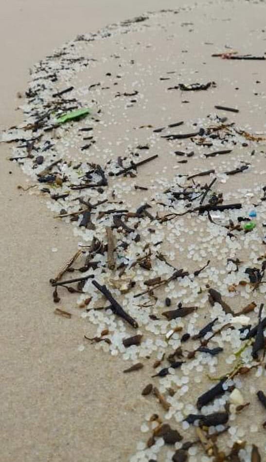 Rosana Pérez Fdez. tweet media