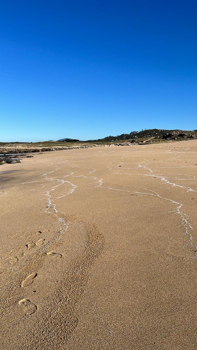 Rosana Pérez Fdez. tweet media