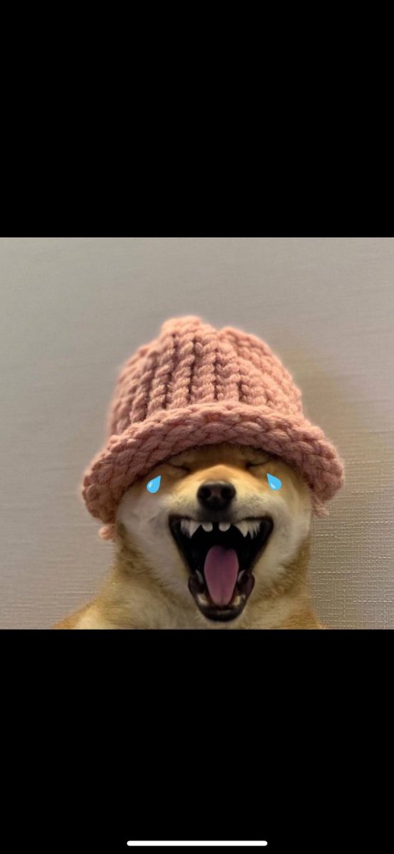 buck_lazer's tweet photo. @fulldividends @dogwifcoin https://t.co/AQDgz8ZwPk