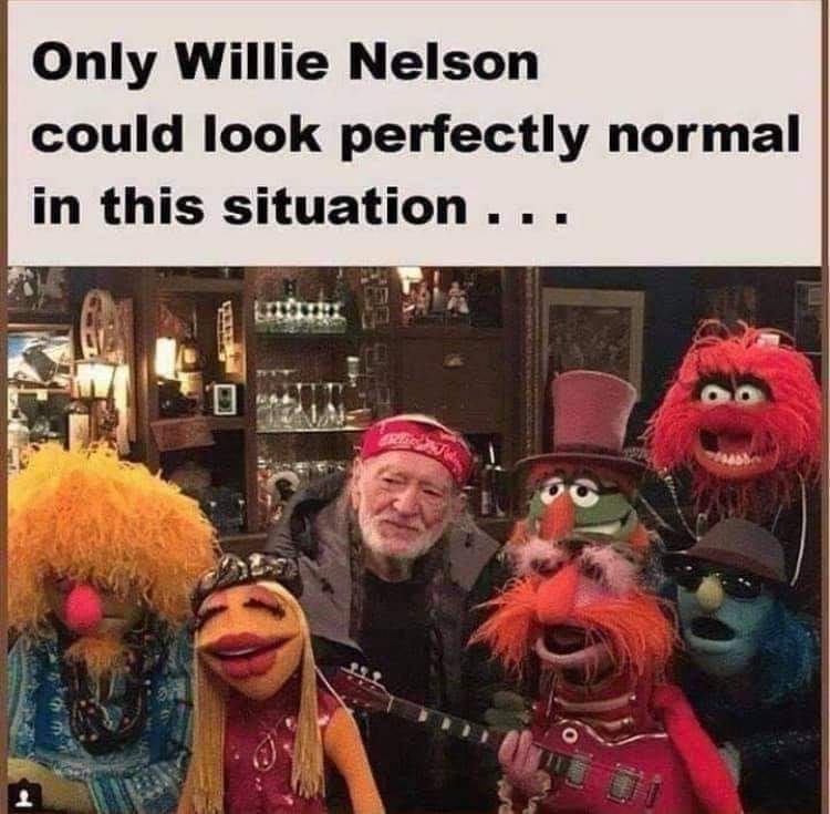 officetutorials's tweet image. This always makes me smile. @WillieNelson @KermitTheFrog #WillieNelson  #Muppets
