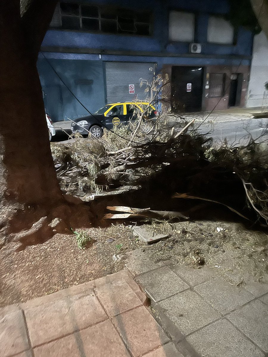 eLeMeQ's tweet photo. @jorgemacri @horaciorlarreta @mauriciomacri @dzapatillas @gcba dejen de pelotudear y pónganse a laburar !!! Hace 3 semanas tengo un juntadero de mugre y mosquitos, ramas colgando de arbol, contenedores explotados desde el 31… me canse de hacer reclamos al 147 y al 103… https://t.co/V2dTef4HJE