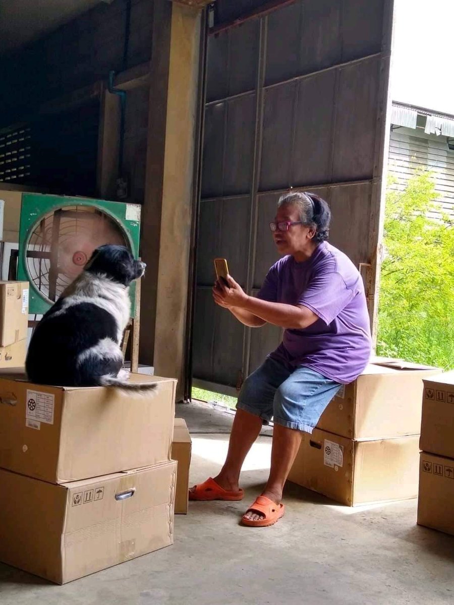 itimaliasof's tweet image. quero a última foto que você tirou do seu bichinho de estimação comenta ai