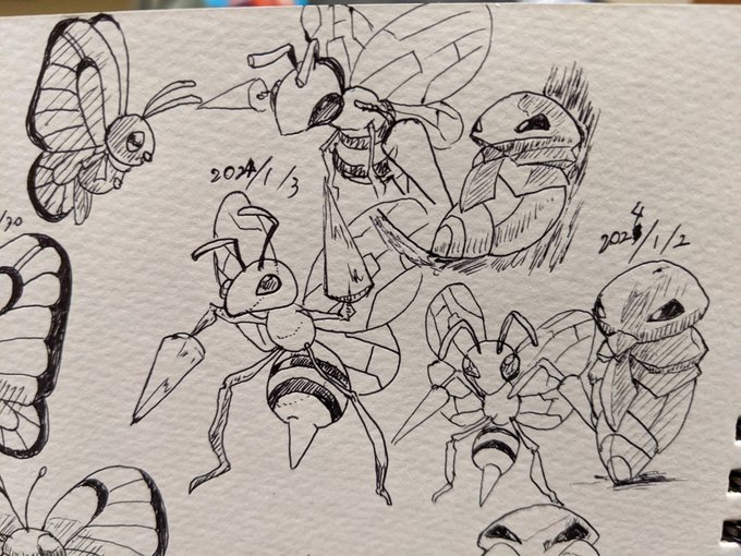 スピナー一匹旅の動画大好き 縛りプレイでも楽しいポケモンの奥深さ カキカキ。 