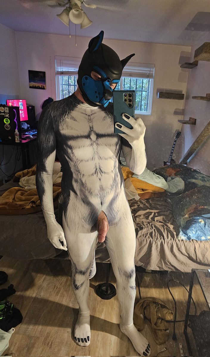 LewdKodaFox's tweet photo. Excuse my messy ass room https://t.co/QR3t1StE8K