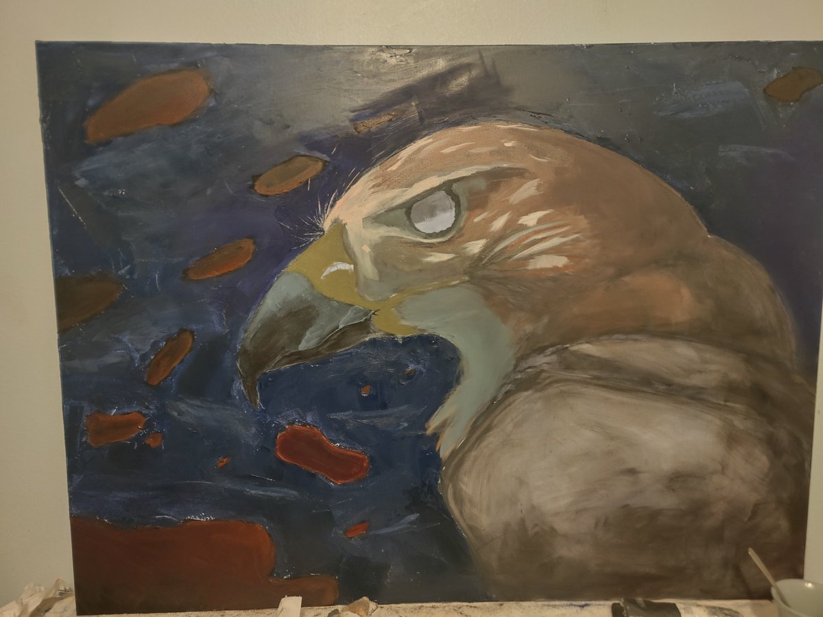 Meto44831472's tweet photo. Another wip of this beautiful bird https://t.co/tj9AAIECzV