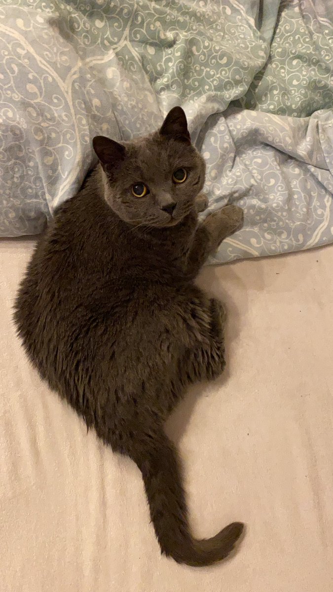 COFindus tweet media