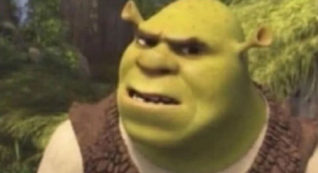 Cuando pongo "???" en una conversación, esta es exactamente la cara que quiero que se imaginen