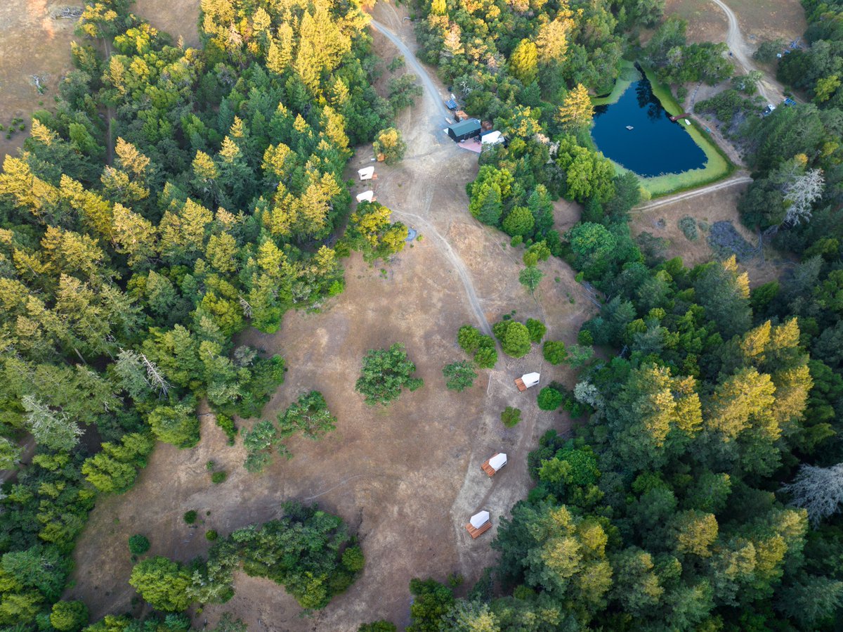 The Lotus Lab tweet media