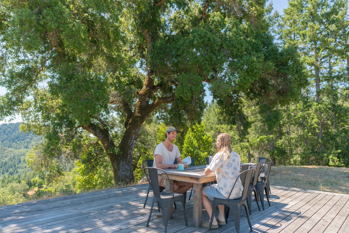 The Lotus Lab tweet media