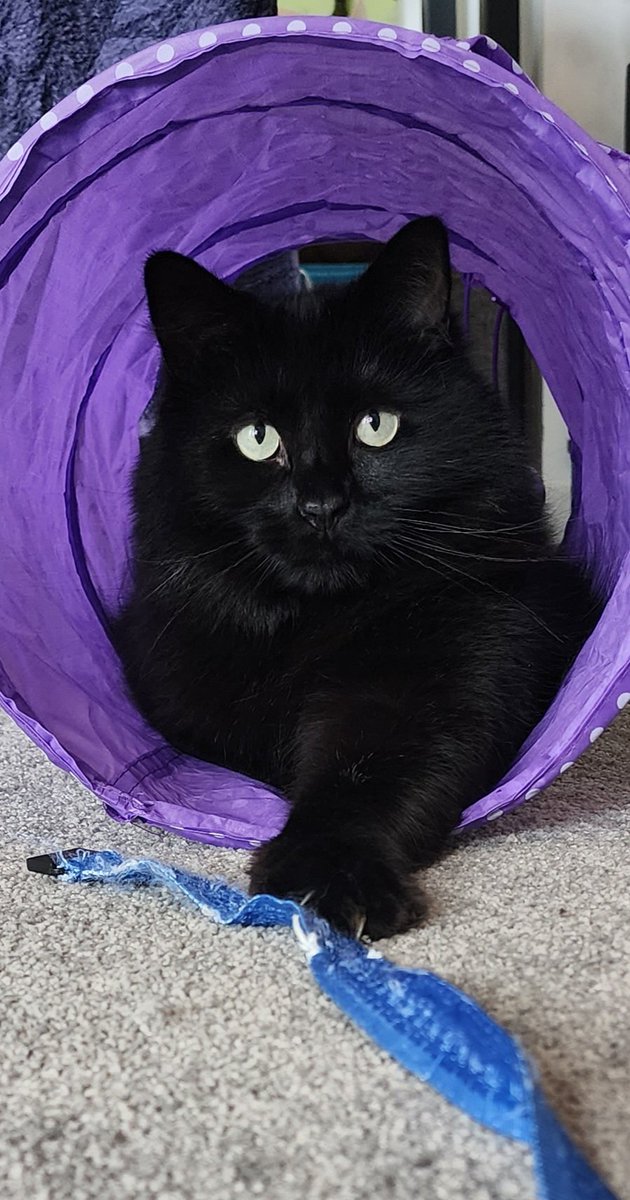 Look at my handsome boy!