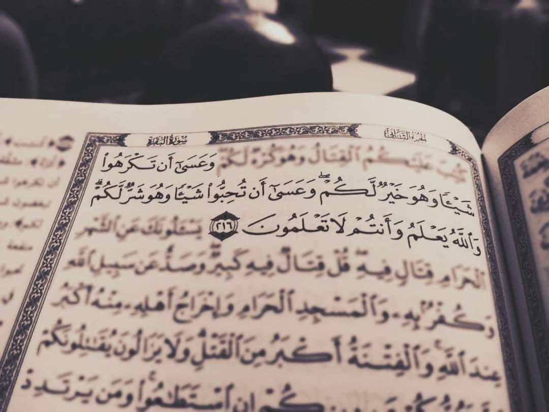 FajrCoded's tweet photo. This Ayah is for everyday and for every moment of our life, our sorrows, our happiness, our blessings, and even our lapses:

"But perhaps you hate a thing and it is good for you; and perhaps you love a thing and it is bad for you. And Allah Knows, while you know not."

Quran - Surah AlBaqarah

#صلاه_الفجر
