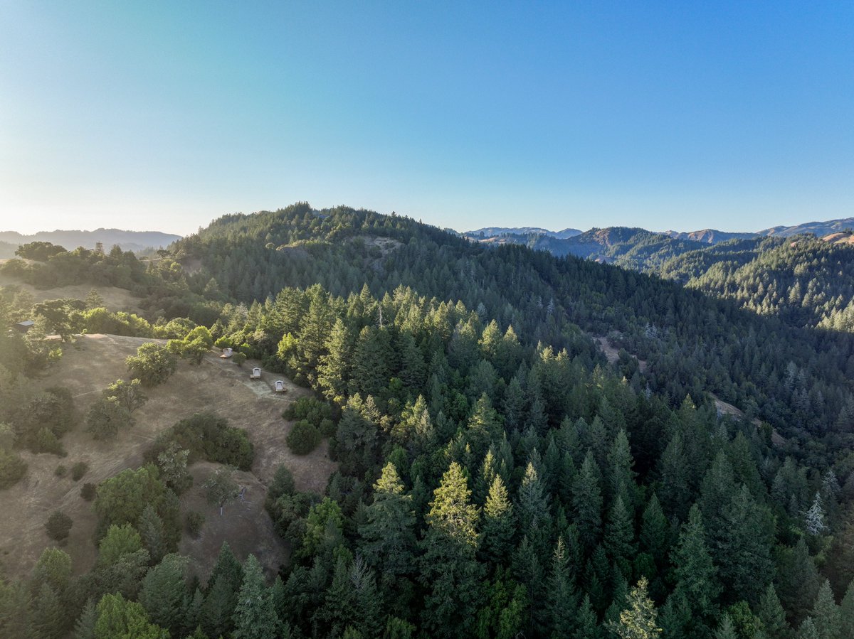 The Lotus Lab tweet media