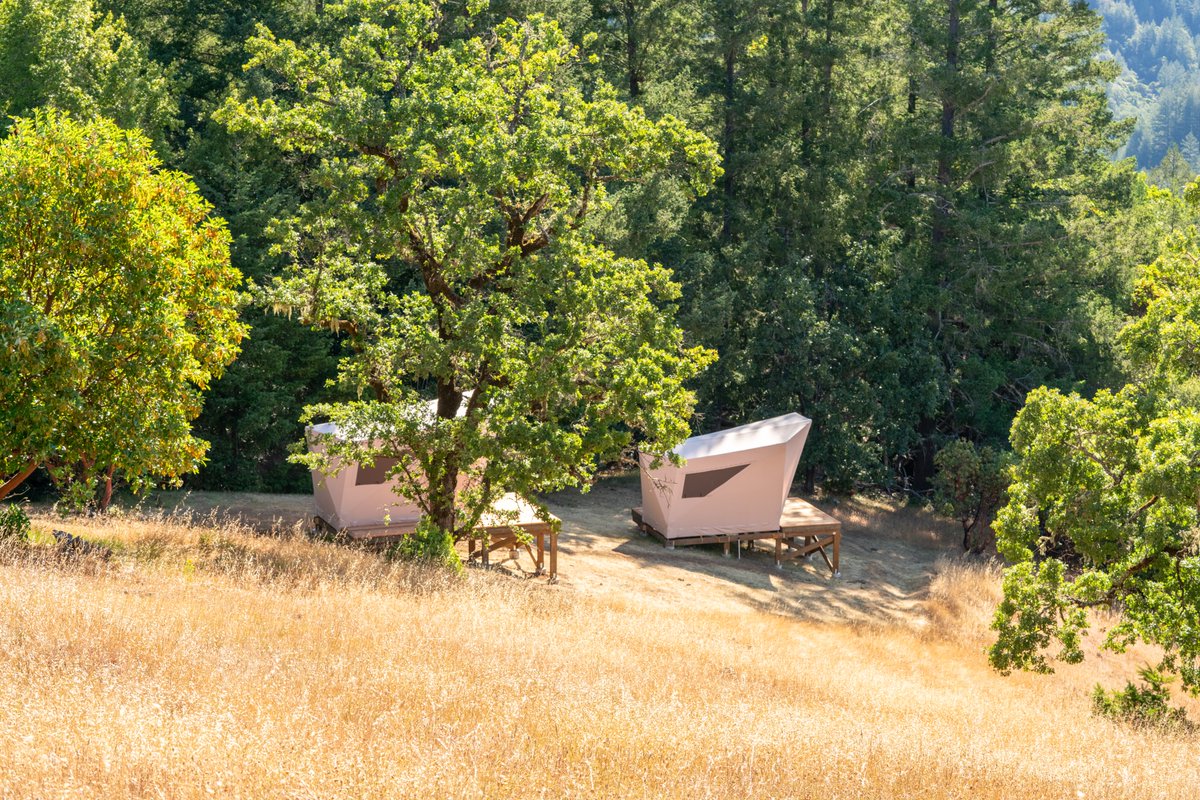 The Lotus Lab tweet media