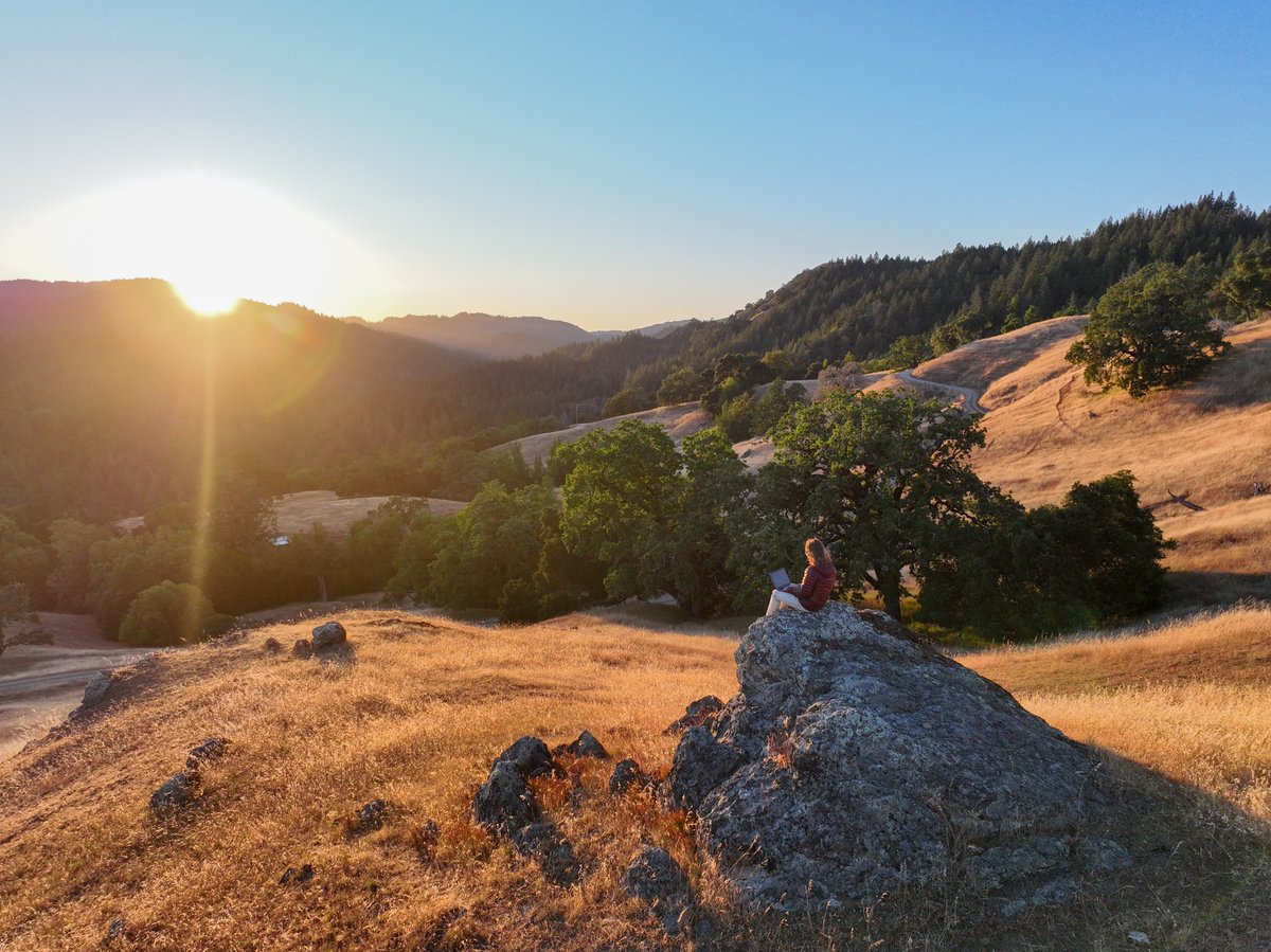 The Lotus Lab tweet media