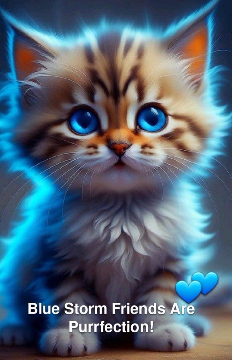 #CatChatFBRParty 

If you want to meet and mingle with more blue friends, drop a photo, meme or a topic for discussion! Vet 👣like Repost!

#CatsOfTwitter #CoolCats
#BlueStormBoosts #BlueStormFriends #BidenHarris2024