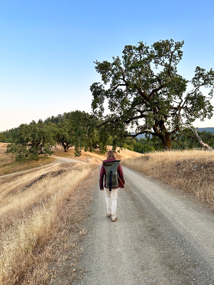 The Lotus Lab tweet media